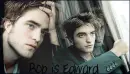 rob twilight
