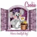 Cookie