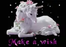 May Your Wish Come True