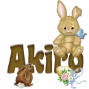 Animated Bunny: Akiro