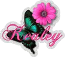 Kealey