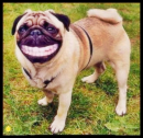 CHEEEESE!