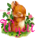 Wyett bunny