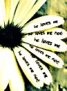 love flower 