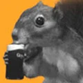 guinnes squirrel