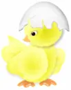 lil chik easter