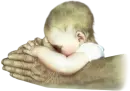 Old and baby prays