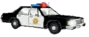cop