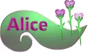 alice