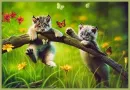 spring funn