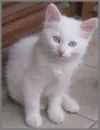 hello!!