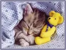 yellow bear