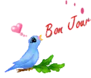 bonjour