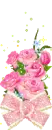 beautyful roses