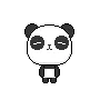panda boy