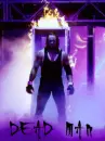 the undertaker