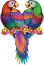 Ave - Bird