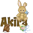 Animated Easter Bunny:Akira