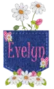 Evelyn