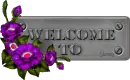 Metal Plate: Welcome to Annie's Page
