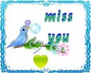 miss u