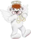creddy angle