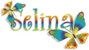 butterflys selina