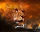 lion and the lamb
