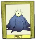 Pet