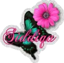 Siddiqa