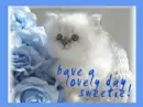 Have a lovely day