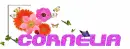 flower-cornelia