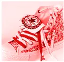 converse shoe