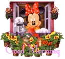 good morning