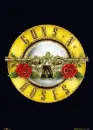 guns n roses logo