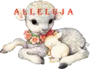 Lamb