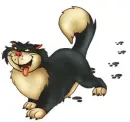 CINDERELLAS CAT