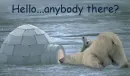 hello...anybody their?