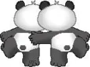 panda bears