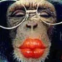 LOL Monkey
