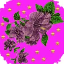 violet