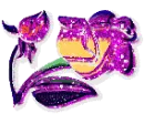 colorful flower