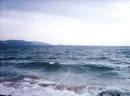 the sea 