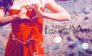 love is a losing game