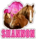 Shannon