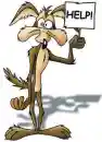 wiley coyote
