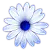 little flower