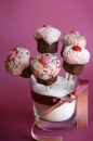 Muffins