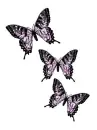 Purple Butterflies