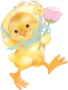 poussin de paques